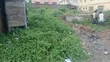 Direct Standard Plot of Land for Sale in Agbowo, Ibadan - 2
