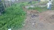 Direct Standard Plot of Land for Sale in Agbowo, Ibadan - 4