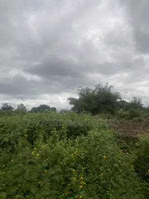 1 Plot of Land at Lodu Ibeku, Umuahia for Distress Sale