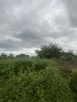 1 Plot of Land at Lodu Ibeku, Umuahia for Distress Sale - 1