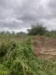 1 Plot of Land at Lodu Ibeku, Umuahia for Distress Sale - 2