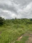 2 Plots for Sale at Amuoba Housing Estate, Umuahia - 2