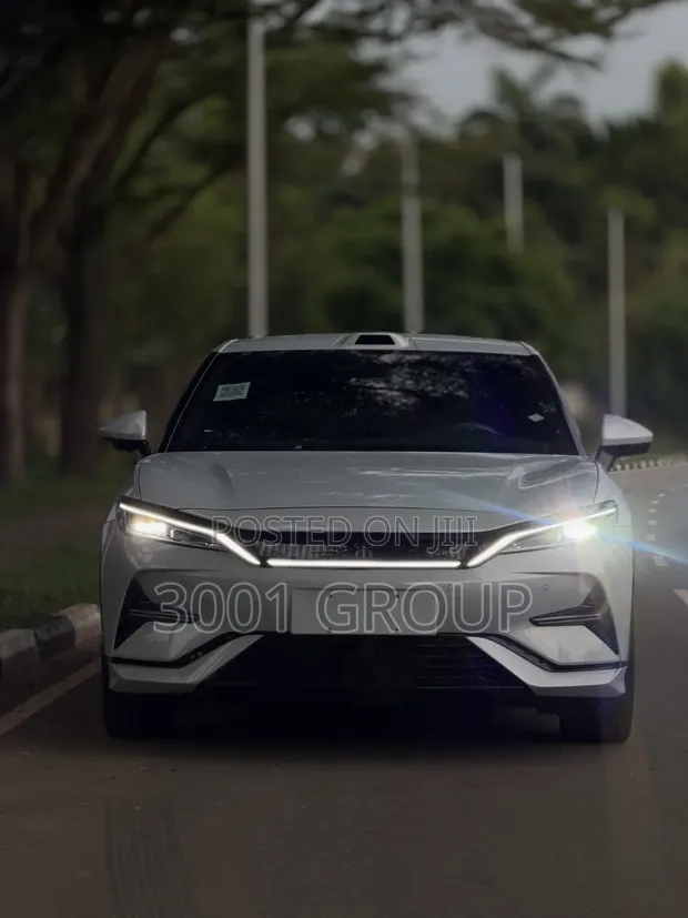 BYD Song L DM-i 2025 Silver - 1
