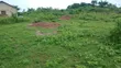 Distress Sale: 502 SQM Residential Land in Moniya - 1