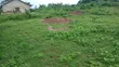 Distress Sale: 502 SQM Residential Land in Moniya - 2