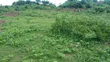 Distress Sale: 502 SQM Residential Land in Moniya - 3
