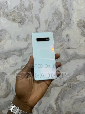 Samsung S10+ Replacement Panel