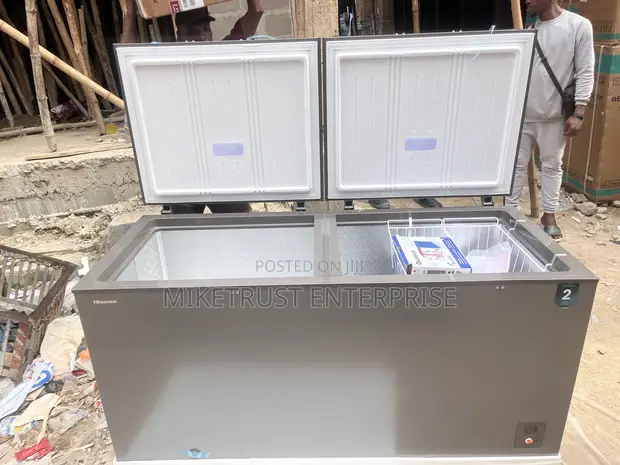 Hisense 500L Double Door Deep Freezer - 1