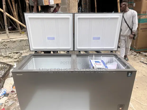 Hisense 500L Double Door Freezer - 1