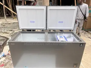 Hisense 500L Double Door Freezer