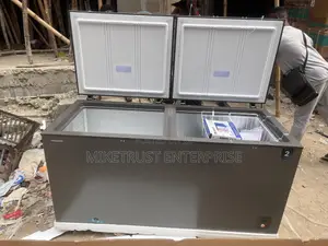Hisense 500L Double Door Deep Freezer