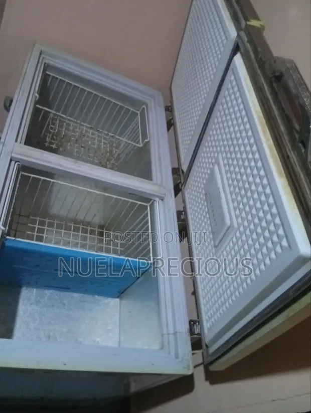 Scanfrost Refrigerator - Silver, 2-Door Bottom Freezer - 1