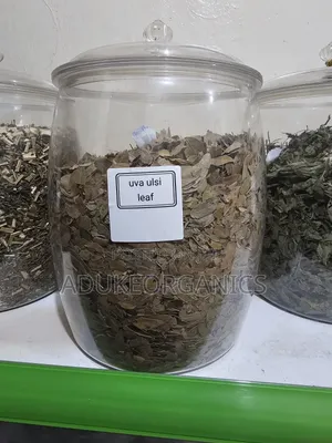 Uva Ursi Leaf 100g Pack - Na Gargajiya Don Jin Daɗin Fitsari