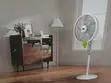 Winning Star Electric Stand Fan - 2