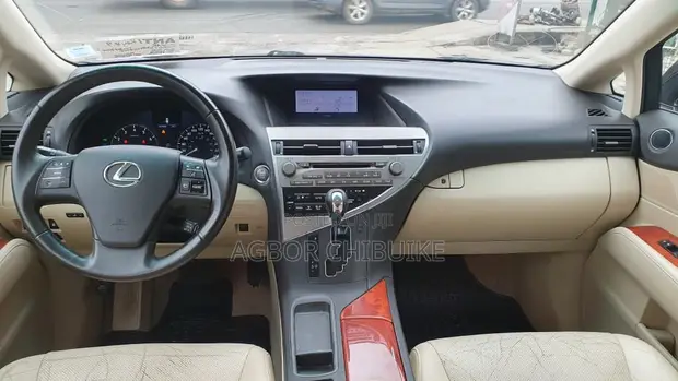 Lexus RX 350 2010 Gray - 1