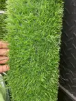 Artificial Grass Carpet - Brand New - 5