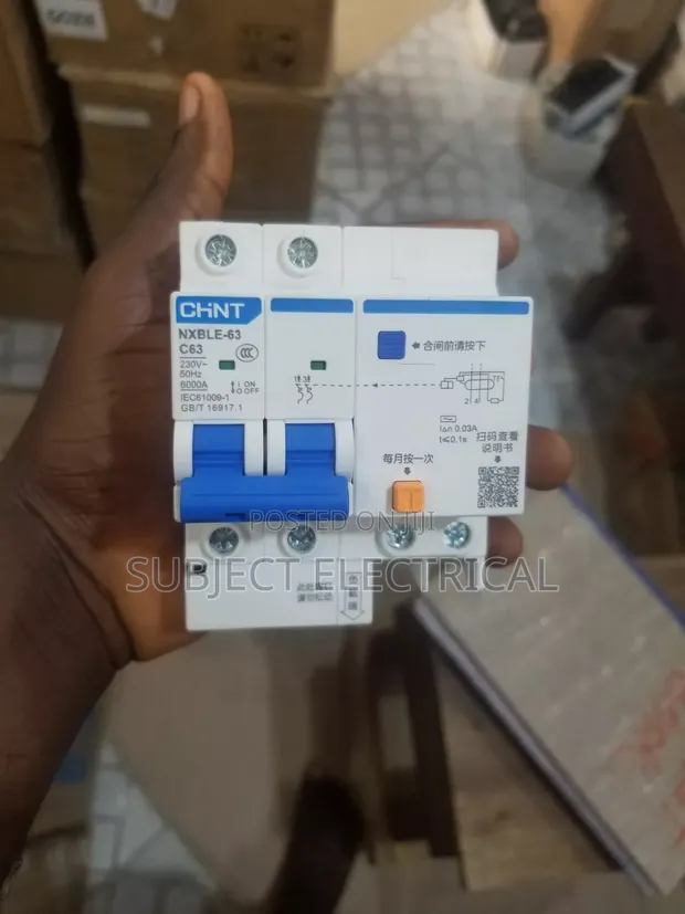63A 2-Pole Circuit Breaker with Vigil Protection - 1