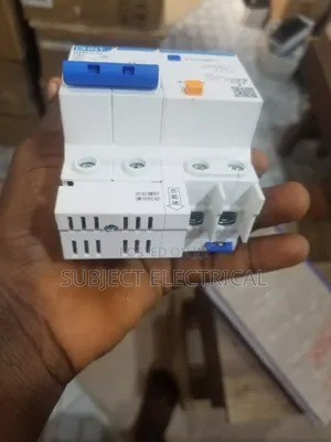 63A 2-Pole Circuit Breaker with Vigil Protection