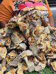 Sabon Kifi Cod A Stockfish Cutlets - 1kg & Jakunkuna - 2