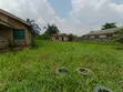 Full or Half Plot for Rent, Magodo Extension - 1