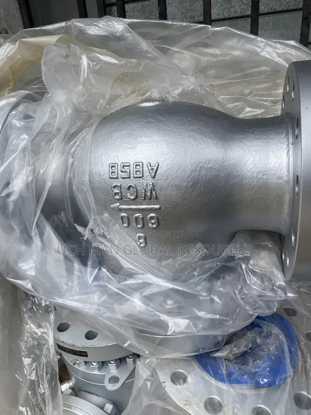 6" x 600 Raised Face Check Valve - 1