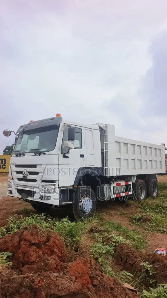 China Used CNHTC Howo Dump Truck (2020) - 1