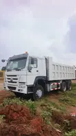 China Amfani da CNHTC Howo Dump Truck (2020) - 1