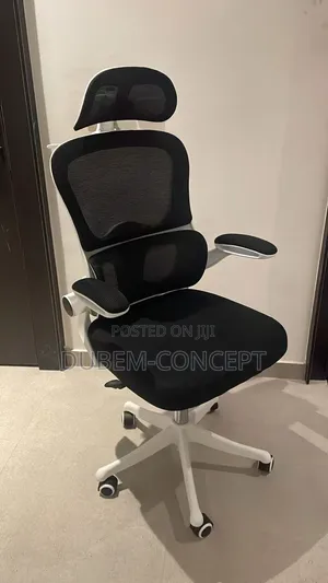 Boss Office Products Quality Ergonomic Chair with Lumbar Support