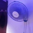 Century Hanging Fan - 2