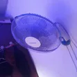 Century Hanging Fan - 3