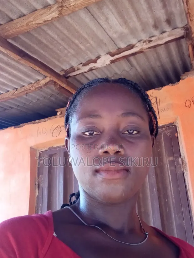 Tolu's Neat Home Services: House Cleaning & Laundry - 1