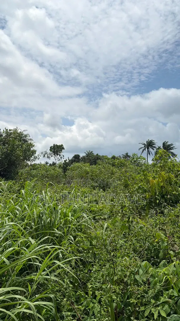 70 Acres of Land for Sale at Ilesa - 1