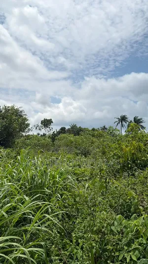 70 Acres of Land for Sale at Ilesa