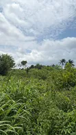 70 Acres of Land for Sale at Ilesa - 1