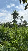 70 Acres of Land for Sale at Ilesa - 2