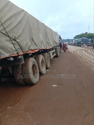 Dangote and Bua Cement Available