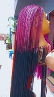 Braided Coloured Wig - 3