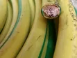 70mm Igiyar Ƙasa Ta Gida Ɗaya - 1