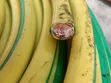 70mm Igiyar Ƙasa Ta Gida Ɗaya - 3