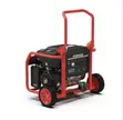 Sumec Firman ECO 10990ES Generator - 2