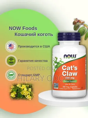 NOW Foods Cat's Claw 500mg Capsules