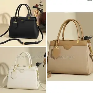 Luxury Givenchy Coach Ladies Handbag