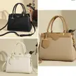 Luxury Givenchy Coach Ladies Handbag - 2