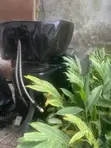 Kayan Wanke Gashi da Massager & Kafar Waje - 2