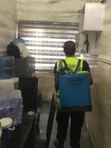 Professional Pest Control & Fumigation Services - 4