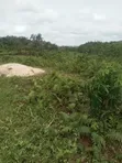 Land for Sale Behind Trade Fair Complex, Lagos - 2