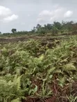 Land for Sale Behind Trade Fair Complex, Lagos - 3
