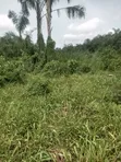 Land for Sale Behind Trade Fair Complex, Lagos - 4
