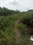 Land for Sale Behind Trade Fair Complex, Lagos - 5