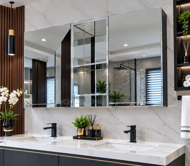 Quality Double Door Stainless Cabinet Mirror - 1